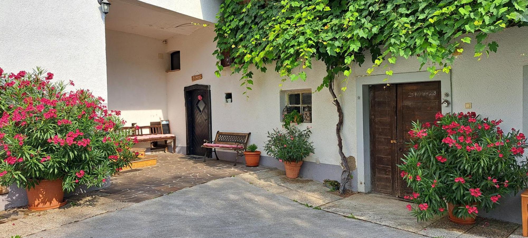 Ana Antloga Apartments Bled Exterior foto